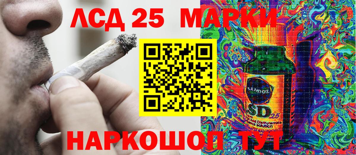 Бошки Шишки Нерюнгри
