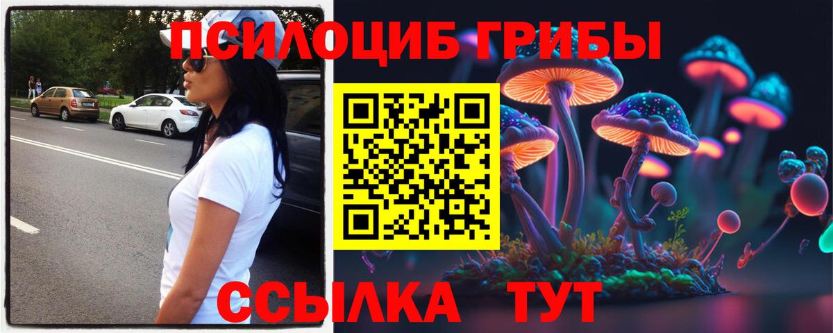 Нерюнгри  Галлюциногенные грибы MAGIC MUSHROOMS  Псилоцибиновые грибы Cubensis  Вход с VPN 