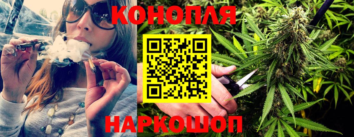 Бошки Шишки планчик Нерюнгри